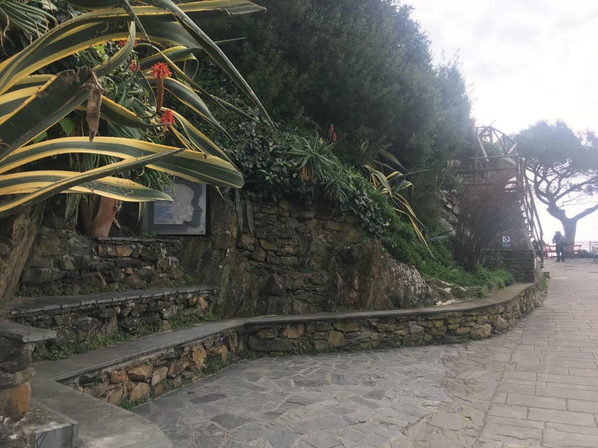Casa D'amore Maison d'hôtes
